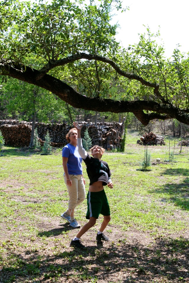 2012-04-08-20-Egg Hunt.jpg
